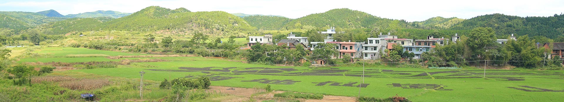 游客體驗(yàn)